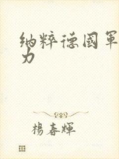 纳粹德国军事实力