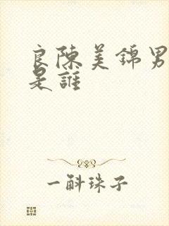 良陈美锦男主角是谁