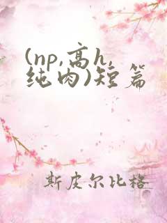 (np,高h,纯肉)短篇