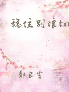 稳住别浪txt