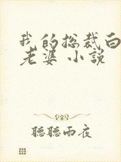 我的总裁白富美老婆 小说