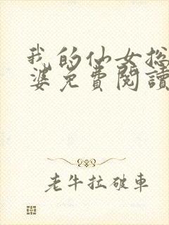我的仙女总裁老婆免费阅读全文