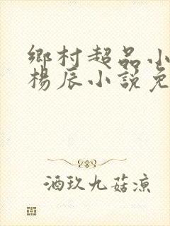 乡村超品小仙医杨辰小说免费阅读