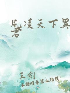 风凌天下异世邪君