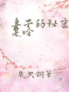 妻子的秘密秘密是啥