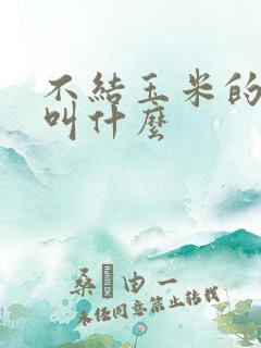 不结玉米的玉米叫什么