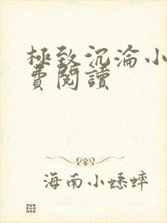 极致沉沦小说免费阅读