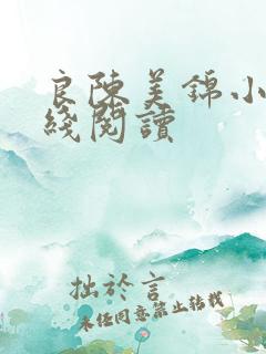 良陈美锦小说在线阅读