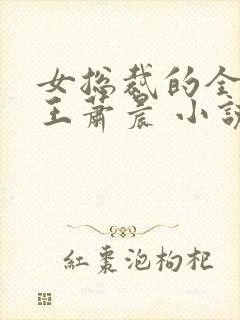 女总裁的全能兵王萧晨 小说