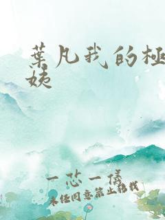 叶凡我的极品小姨