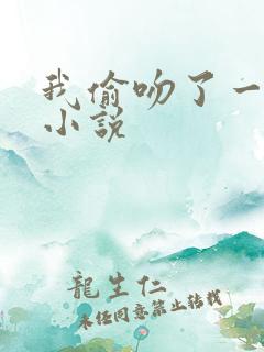 我偷吻了一下风小说