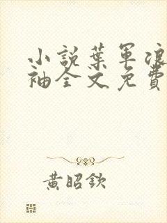 小说叶军浪苏红袖全文免费阅读全文