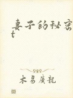妻子的秘密txt