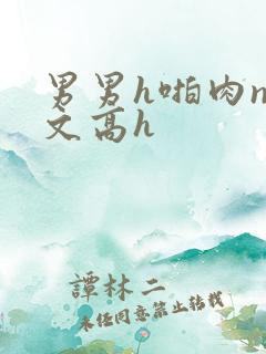 男男h啪肉np文高h