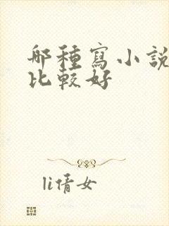 哪种写小说软件比较好