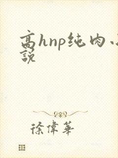 高hnp纯肉小说