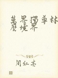 万界独尊林枫什么境界