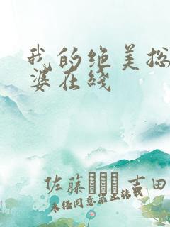 我的绝美总裁老婆在线