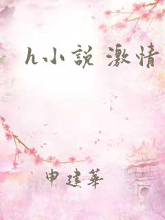 h小说 激情