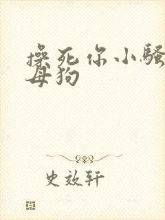 操死你小骚货小母狗