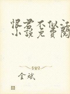 恨君不似江楼月小说免费阅读