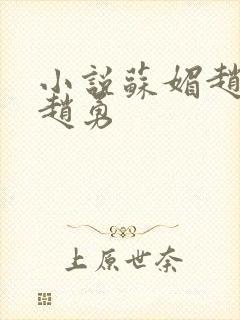 小说苏媚赵大宝赵勇