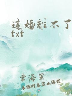 这婚离不了全文txt