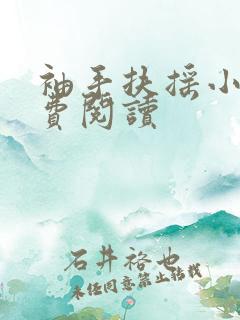 袖手扶摇小说免费阅读