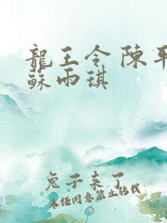 龙王令 陈平 苏雨琪