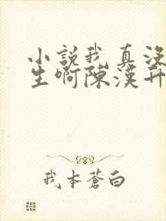 小说我真没想重生啊陈汉升免费