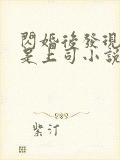 闪婚后发现老公是上司小说免费阅读全文