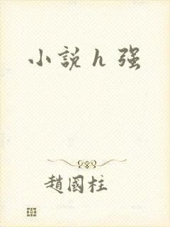 小说 h 强