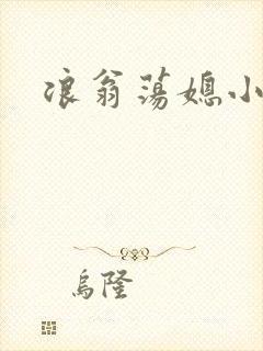 浪翁荡媳小说