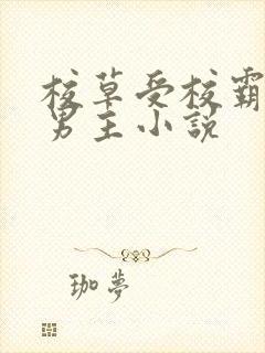 校草受校霸攻双男主小说
