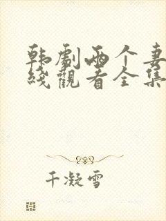 韩剧两个妻子在线观看全集免费