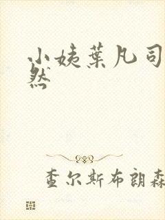 小姨叶凡司空嫣然