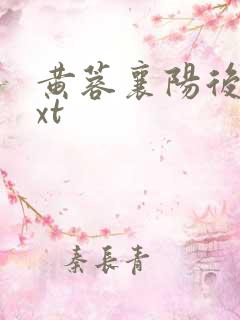 黄蓉襄阳后记txt