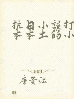 抗日小说打到日本本土的小说