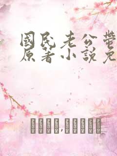 国民老公带回家原著小说免费阅读