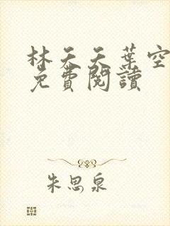 林夭夭叶空小说免费阅读