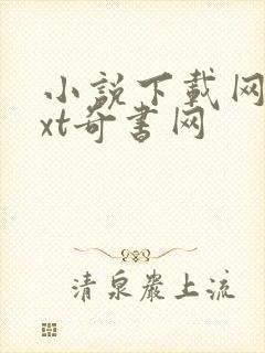 小说下载网站txt奇书网
