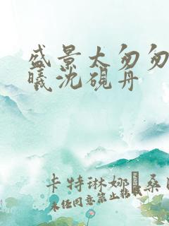 盛景太匆匆宁若曦沈砚舟