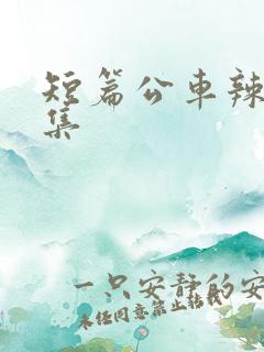 短篇公车辣文合集