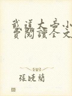 武道大帝小说免费阅读全文无删减