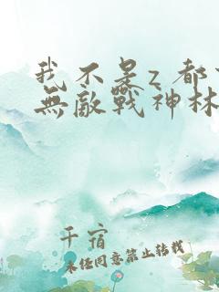 我不是z 都市无敌战神林北