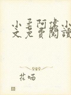 小柔阿伟小说全文免费阅读