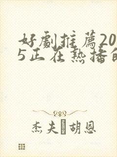 好剧推荐2025正在热播的电视剧