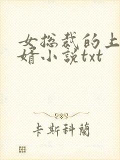 女总裁的上门龙婿小说txt