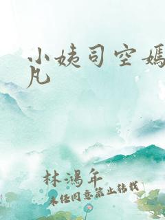 小姨司空嫣然叶凡