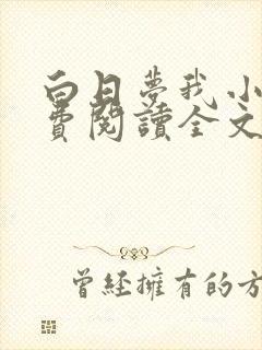 白日梦我小说免费阅读全文无删减